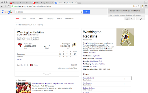 Redskins Web Skin