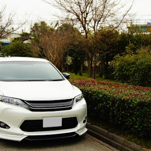ハリアー