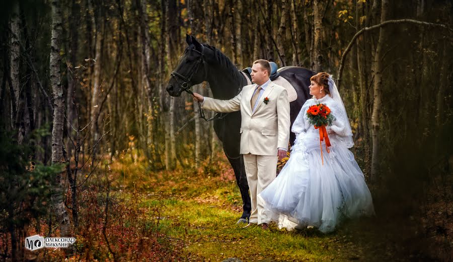 Wedding photographer Aleksandr Mikulin (nikon51). Photo of 16 January 2014