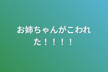 お姉ちゃんがこわれた！！！！