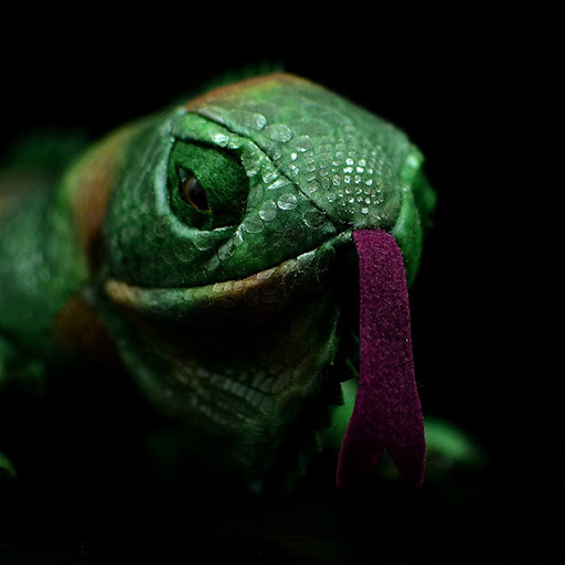 Title 3, Simulation Green Iguana Lizard Doll Cute Lizard...