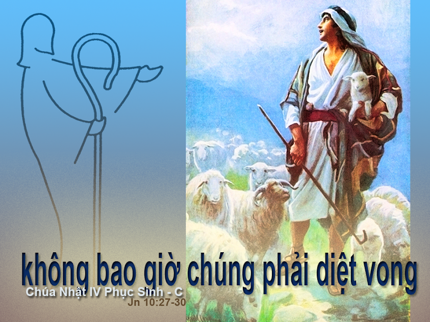 TLO: Chúa nhật 04 phục sinh năm C