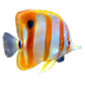 Galaxy Free Aquarium Wallpaper icon