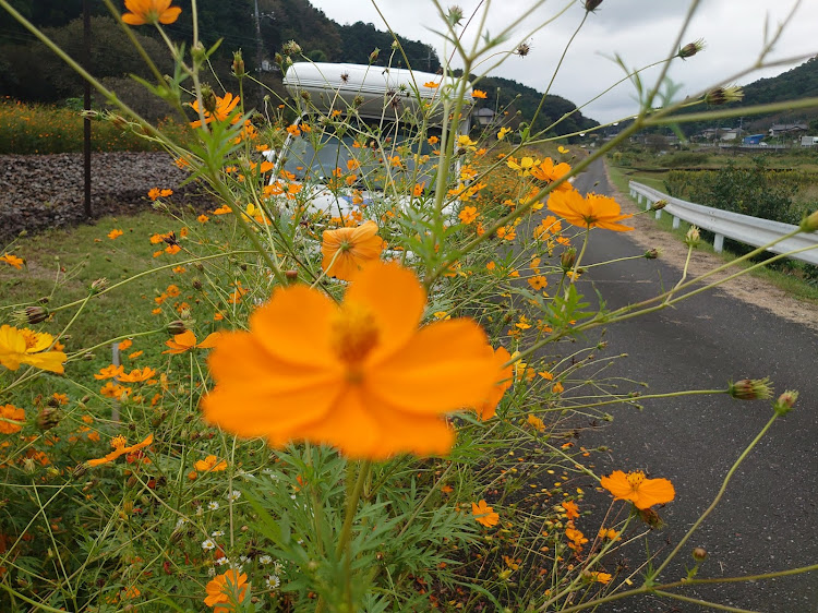 の投稿画像10枚目