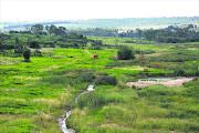 Modderfontein  wetland  system