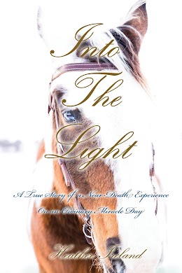 Into The Light cover