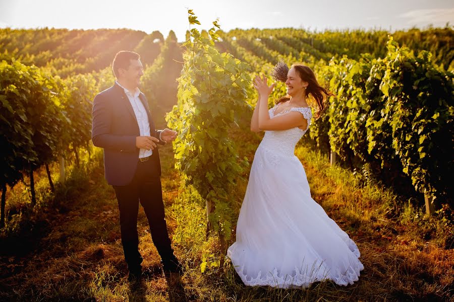 Fotografo di matrimoni Alexie Kocso Sandor (alexie). Foto del 22 marzo 2018