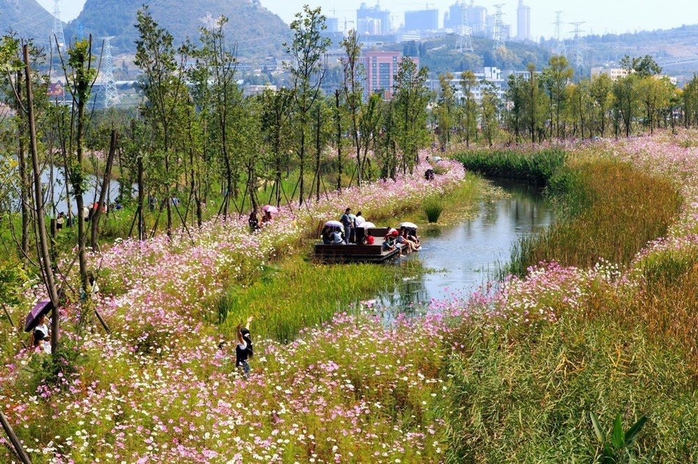 Yanweizhou, o parque ecológico da China