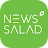 News Salad icon