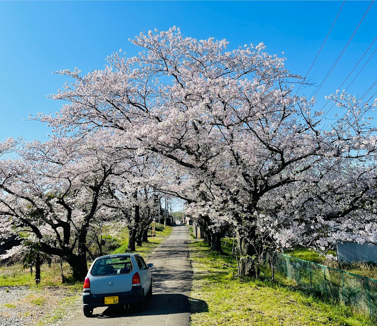 の投稿画像2枚目