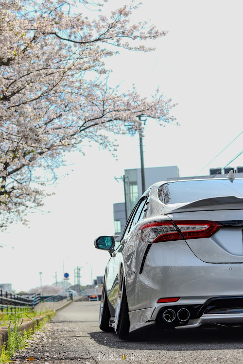 カムリのカムリ・サクラと愛車・4月もよろしくお願い致します🌸・桜とコラボ・桜コラボに関するカスタム事例の投稿画像1枚目