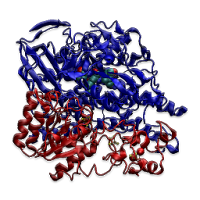 FIND YOUR ENZYME