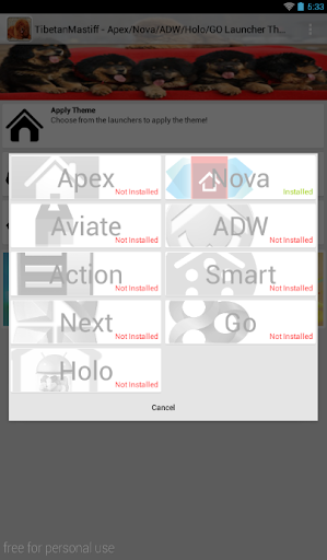 免費下載個人化APP|Tibetan Mastiff Theme - Nova app開箱文|APP開箱王