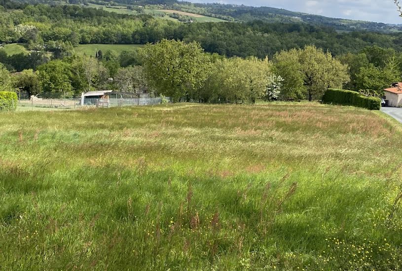  Vente Terrain à bâtir - 3 850m² à Castres (81100) 