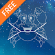 Connect the stars Free