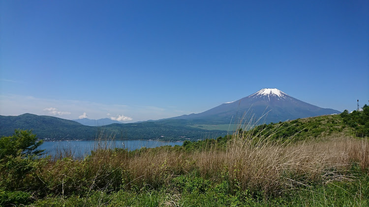 の投稿画像5枚目