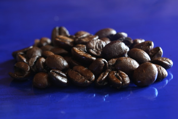 Caffè blu di chocolatepuma84