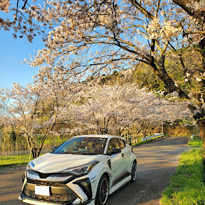 C-HR ZYX11