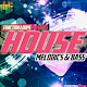 House Melodics & Bass for AEM Download on Windows