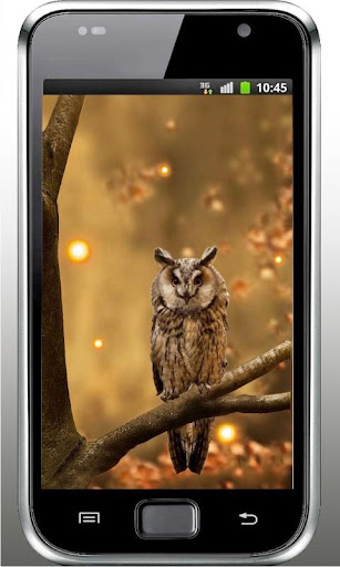 Owl Sounds live wallpaper