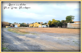 maison à Marseillan (34)