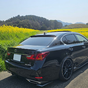 GS GWL10