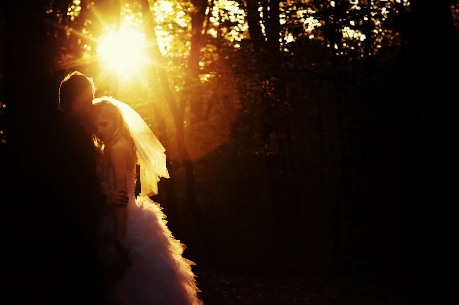 Fotógrafo de casamento Marcin Bała (marcinbala). Foto de 25 de agosto 2015