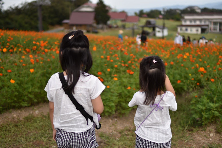 の投稿画像4枚目