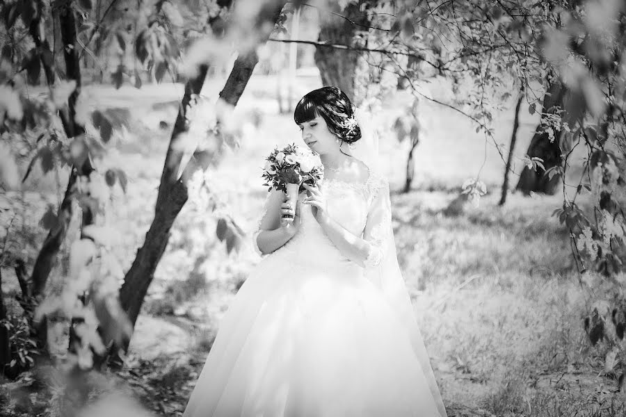 Photographe de mariage Viktoriya Falina (vfal). Photo du 9 juin 2016