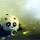Panda Dumpling HD Wallpaper Theme