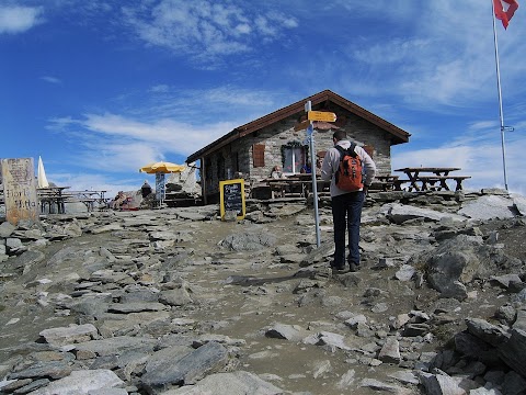 Viaje por los Alpes - Blogs de Suiza - Glaciar del Aletsch - Patrimonio de la UNESCO (3)