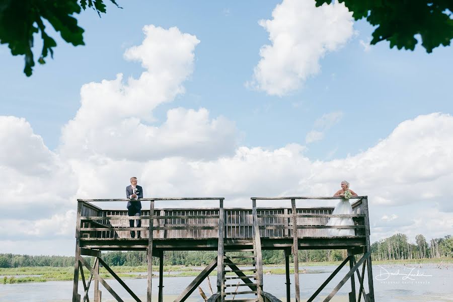 Fotógrafo de casamento David Zandén (zanden). Foto de 30 de março 2019