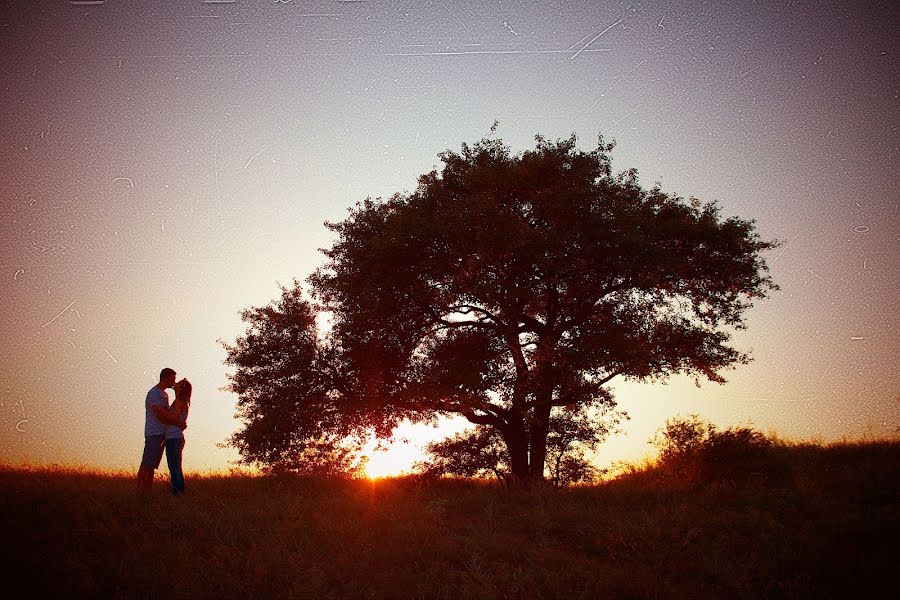 結婚式の写真家Dmitriy Polyaskovskiy (polyaskovskiy)。2013 8月7日の写真