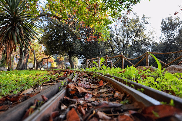 Autunno in arrivo sul binario 2 di akidelpre