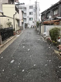 「ブリっ子からの告白断った」のメインビジュアル