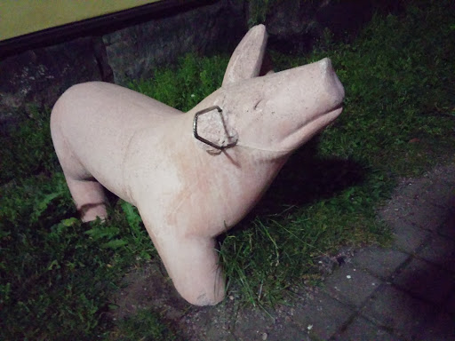 Korjaamo Pig