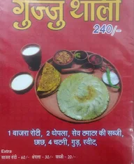 Taste of Gujarat menu 2