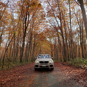 X5 F15