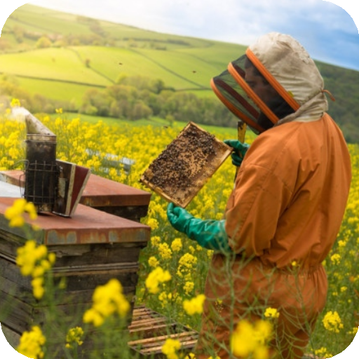 Beekeeping how to start and maintain.