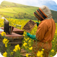 Beekeeping how to start and maintain.