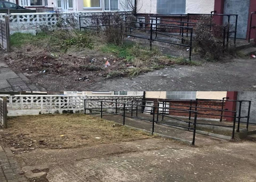 Garden has not been touched for years