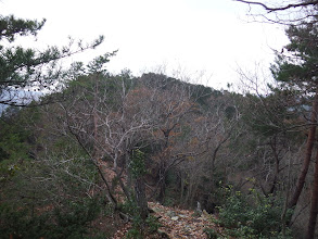 気持ちの良い尾根道に