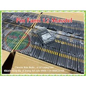 Pin Fami 12 - Masstel (Mới)