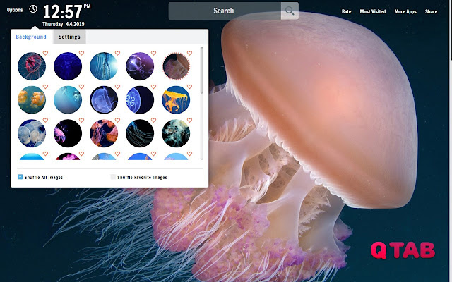 Jellyfish New Tab Jellyfish Wallpapers