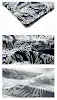 miniatures image - 3