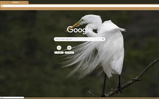 Snowy egret Preview 1