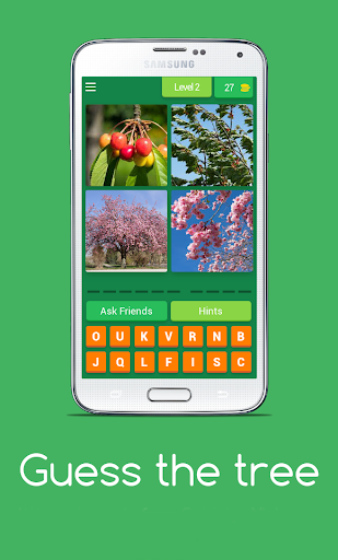 Screenshot Guess the tree - Tree species 