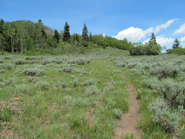 Old road to Fly Canyon