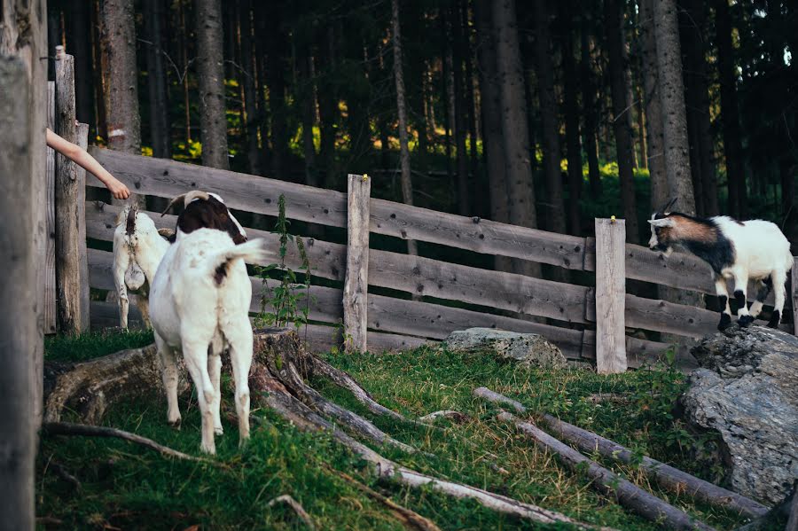 Fotograf ślubny Jolene Den Boer-Eggermont (jppfotografie). Zdjęcie z 17 lutego 2022