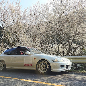 シビック EG6